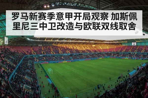 soccer stadium match